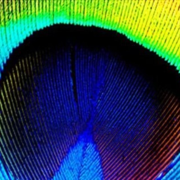 Meet your Posher, Dorva - Picture 1 of 1